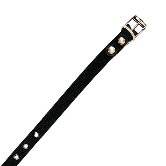 Collar Reforzado Talla Chica