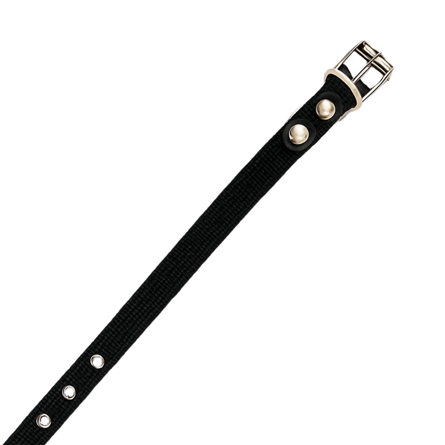 Collar Reforzado Talla Chica