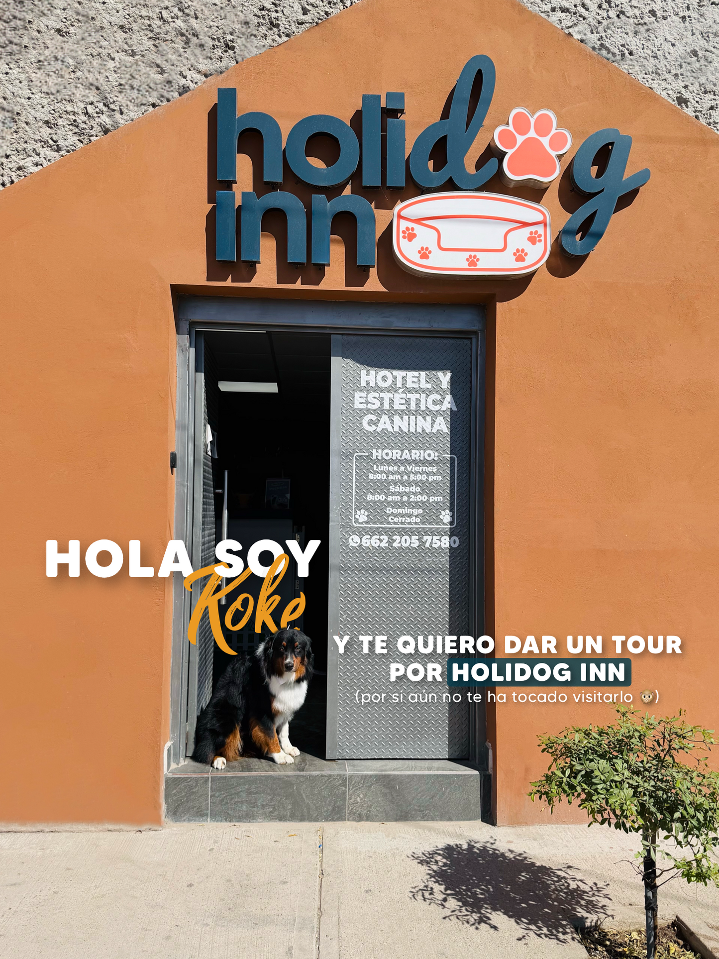 Reserva de Hotel